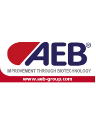 AEB SPA
